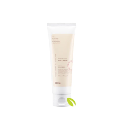 5846 blemiish foam cleanser