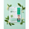 1858 2 green tea collagen essence mask hydratacna maska so zelenym cajom