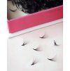 Wowbyme hotové vejáriky Premium 14D Narrow Loose 1000ks (Dĺžka mm 15mm, Hrúbka mm 0,05mm, Zakrivenie typ D)