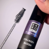 4031 ekkocollagen2