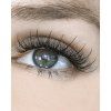 4529 1 wowbyme anime wispy lash set spike styler fixator na mihalnice