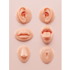6152 wowbyme sada 3d silikonovych modelov na trening piercingu 6 ks